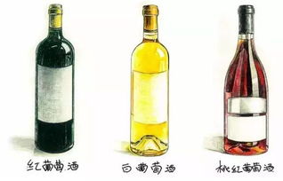 这真是最易懂的葡萄酒扫盲贴了
