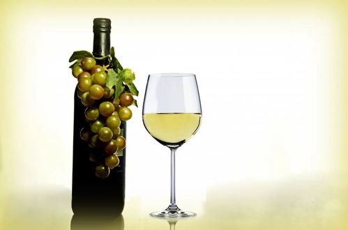 5大类常见白葡萄酒