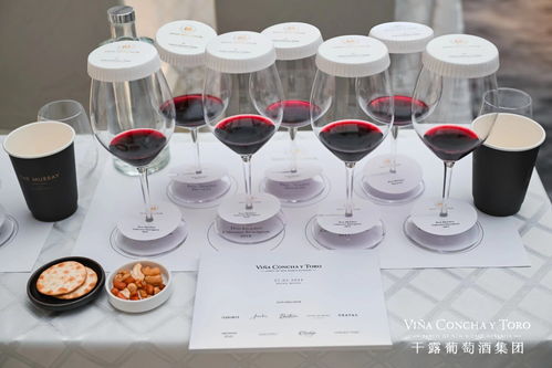 全面发力高端市场,持续拓展亚洲业务版图 干露葡萄酒集团闪耀vinexpo asia