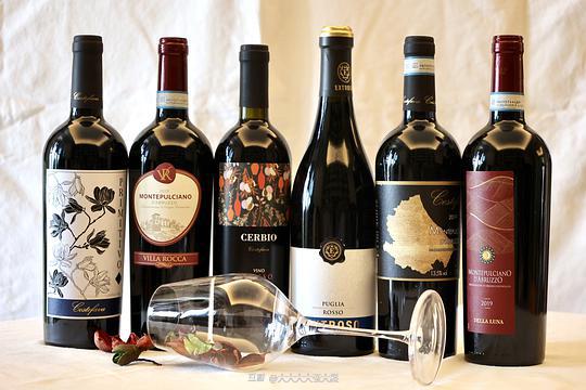 野生大雁的相册与葡萄酒产品图册 自然与人文的交融