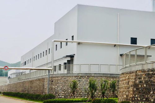 智慧酿造引领行业变革 趵突泉酒业构建新发展格局，推动葡萄酒产业高质量发展